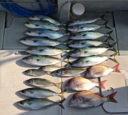 さぶろう丸 釣果