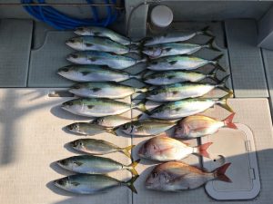 さぶろう丸 釣果