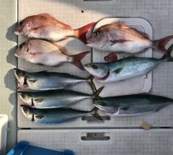 さぶろう丸 釣果