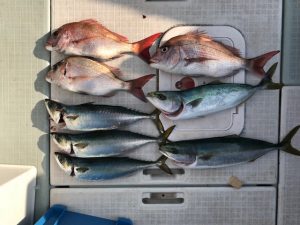 さぶろう丸 釣果