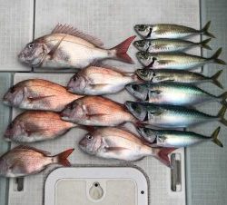 さぶろう丸 釣果