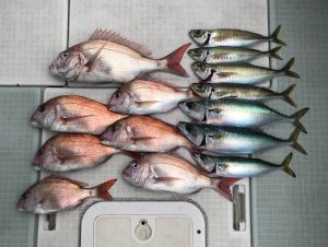 さぶろう丸 釣果