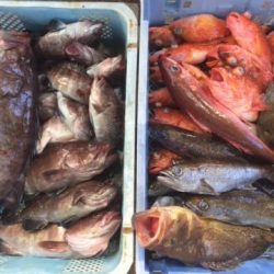 Sea Frend 片山丸 釣果