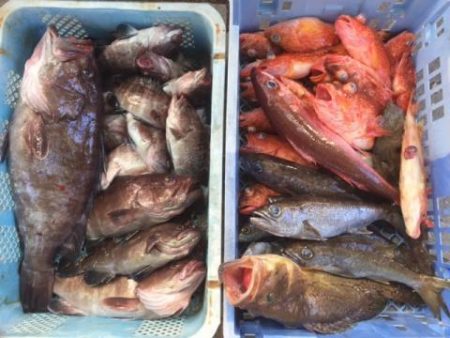 Sea Frend 片山丸 釣果