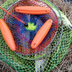 志高湖フィッシング 釣果