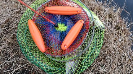 志高湖フィッシング 釣果