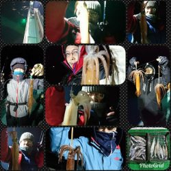 シードリーム 釣果