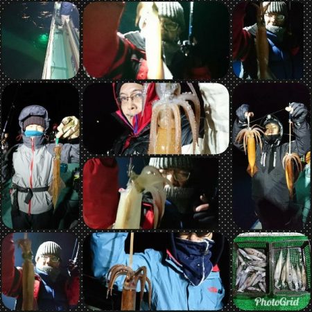 シードリーム 釣果