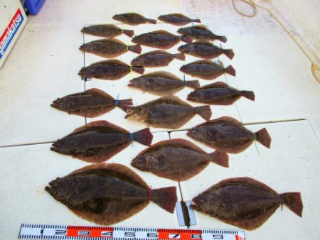 フィッシングガイド とちぎ 釣果