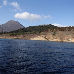 志高湖フィッシング 釣果