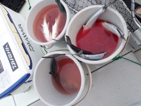 Aquanaut(アクアノート) 釣果