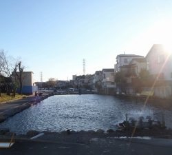 朝霞ガーデン 釣果