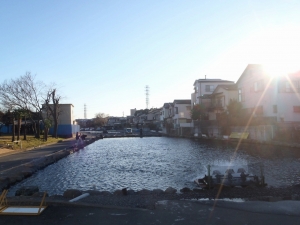 朝霞ガーデン 釣果