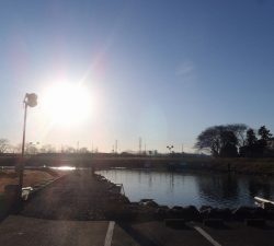 朝霞ガーデン 釣果