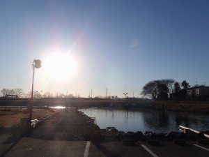 朝霞ガーデン 釣果