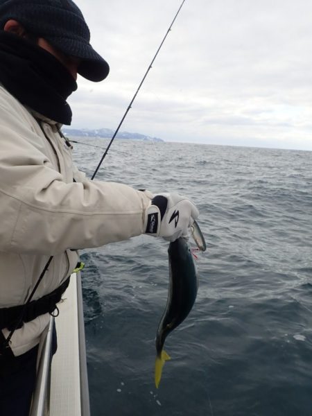 Aquanaut(アクアノート) 釣果