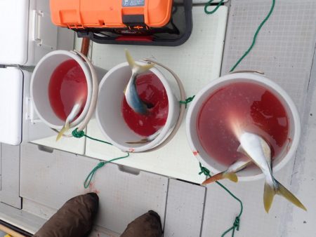 Aquanaut(アクアノート) 釣果