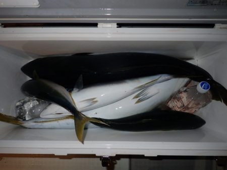 Aquanaut(アクアノート) 釣果