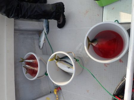 Aquanaut（アクアノート） 釣果