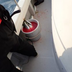 Aquanaut（アクアノート） 釣果