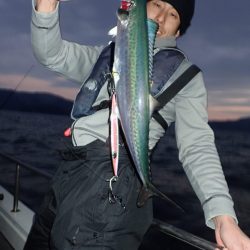 Aquanaut（アクアノート） 釣果