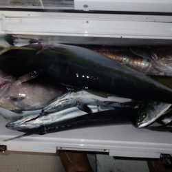 Aquanaut（アクアノート） 釣果