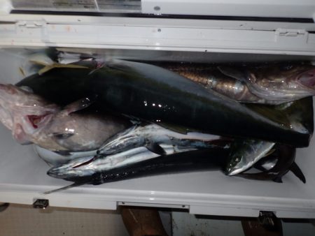 Aquanaut（アクアノート） 釣果