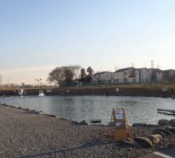 朝霞ガーデン 釣果