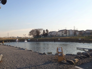 朝霞ガーデン 釣果