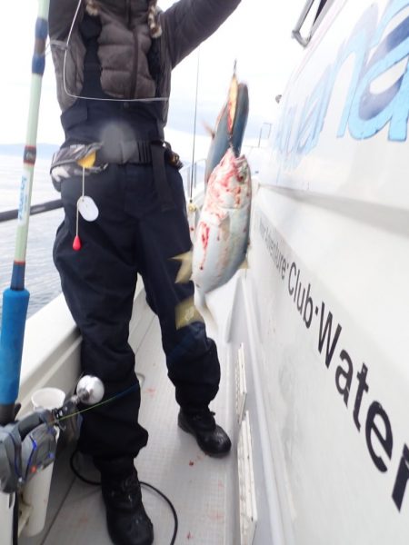 Aquanaut(アクアノート) 釣果