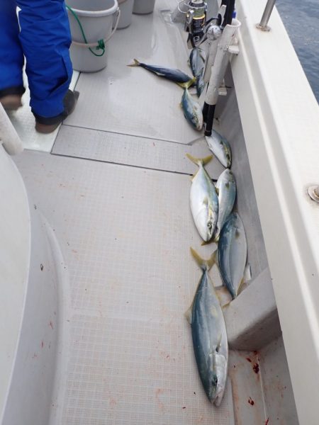 Aquanaut(アクアノート) 釣果