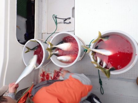 Aquanaut(アクアノート) 釣果