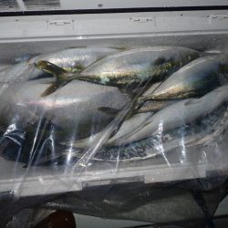 Aquanaut(アクアノート) 釣果