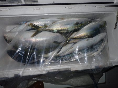 Aquanaut(アクアノート) 釣果