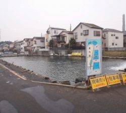 朝霞ガーデン 釣果