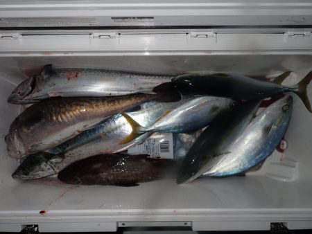 Aquanaut(アクアノート) 釣果