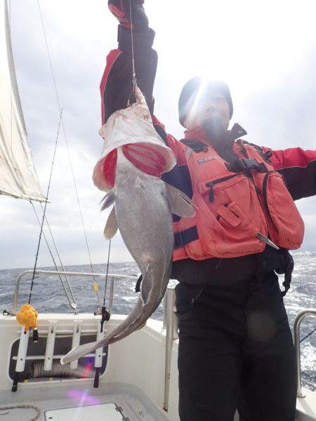 Aquanaut（アクアノート） 釣果