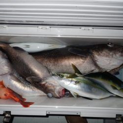 Aquanaut（アクアノート） 釣果