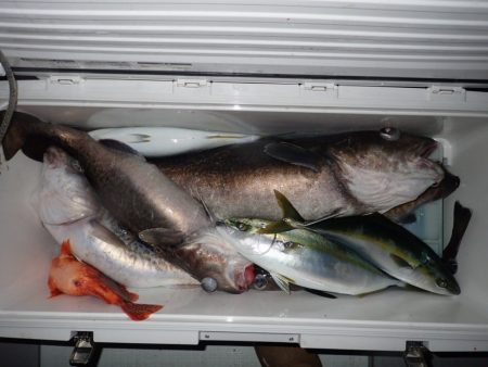 Aquanaut（アクアノート） 釣果