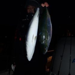 Aquanaut（アクアノート） 釣果