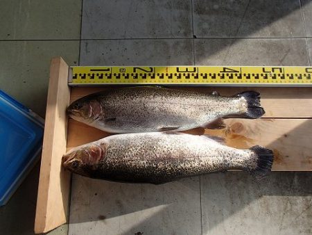 志高湖フィッシング 釣果