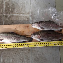 志高湖フィッシング 釣果