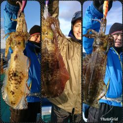 シードリーム 釣果