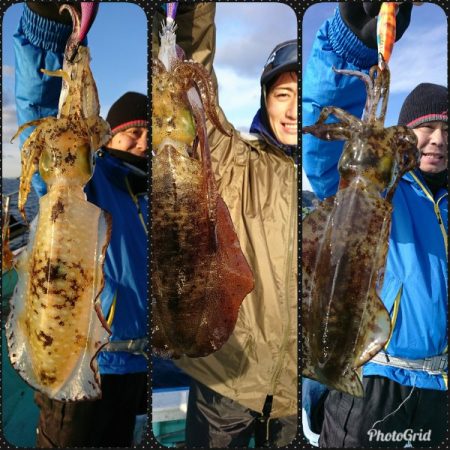 シードリーム 釣果