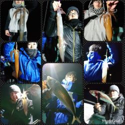 シードリーム 釣果