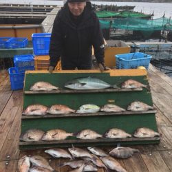 みうら海王 釣果