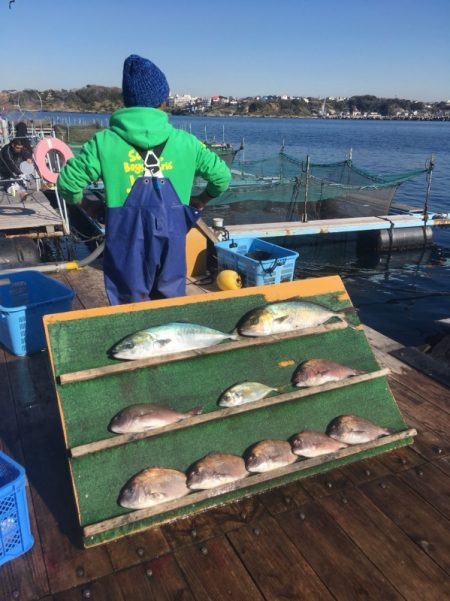 みうら海王 釣果