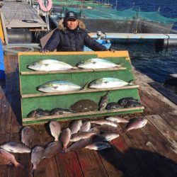 みうら海王 釣果
