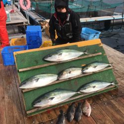 みうら海王 釣果