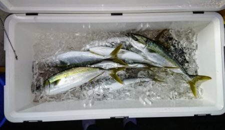 火遠理丸（ほおりまる） 釣果